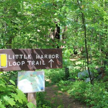 Little Harbor Loop Trail sign