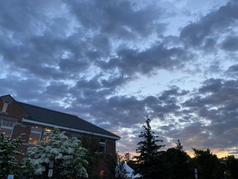 Library with evening sky