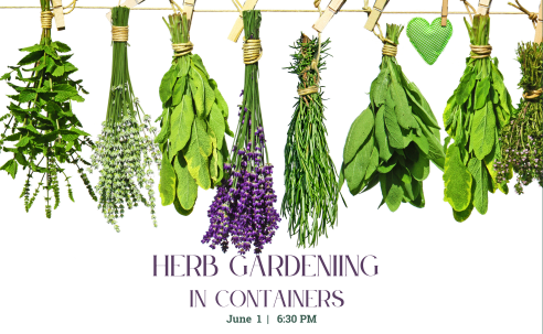 herb gardening